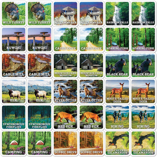 Jr. Ranger - Great Smoky Mountains Matching Game, detail view
