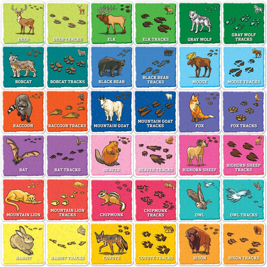 Jr Ranger - Animal Tracks Matching Game, detail view