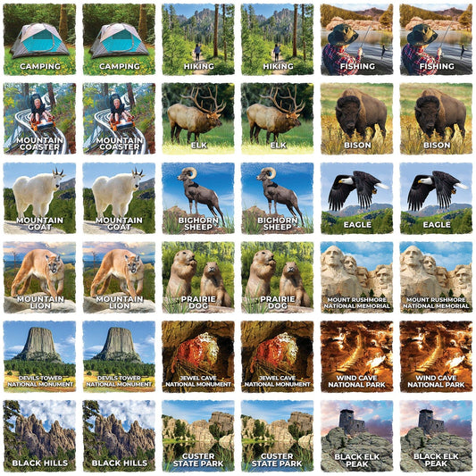 Jr Ranger - Black Hills Matching Game, detail view