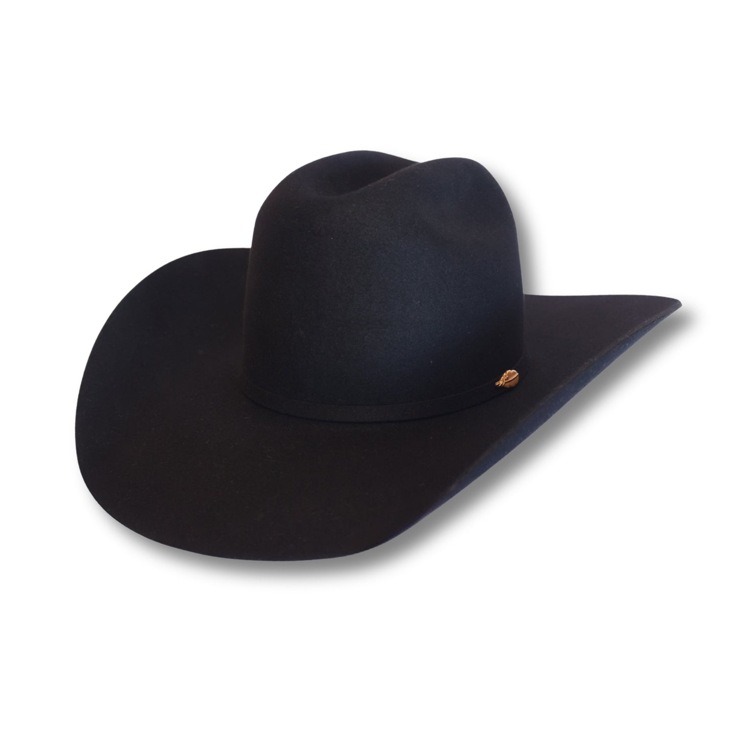 Black Cowboy Hat | 50X, close-up view