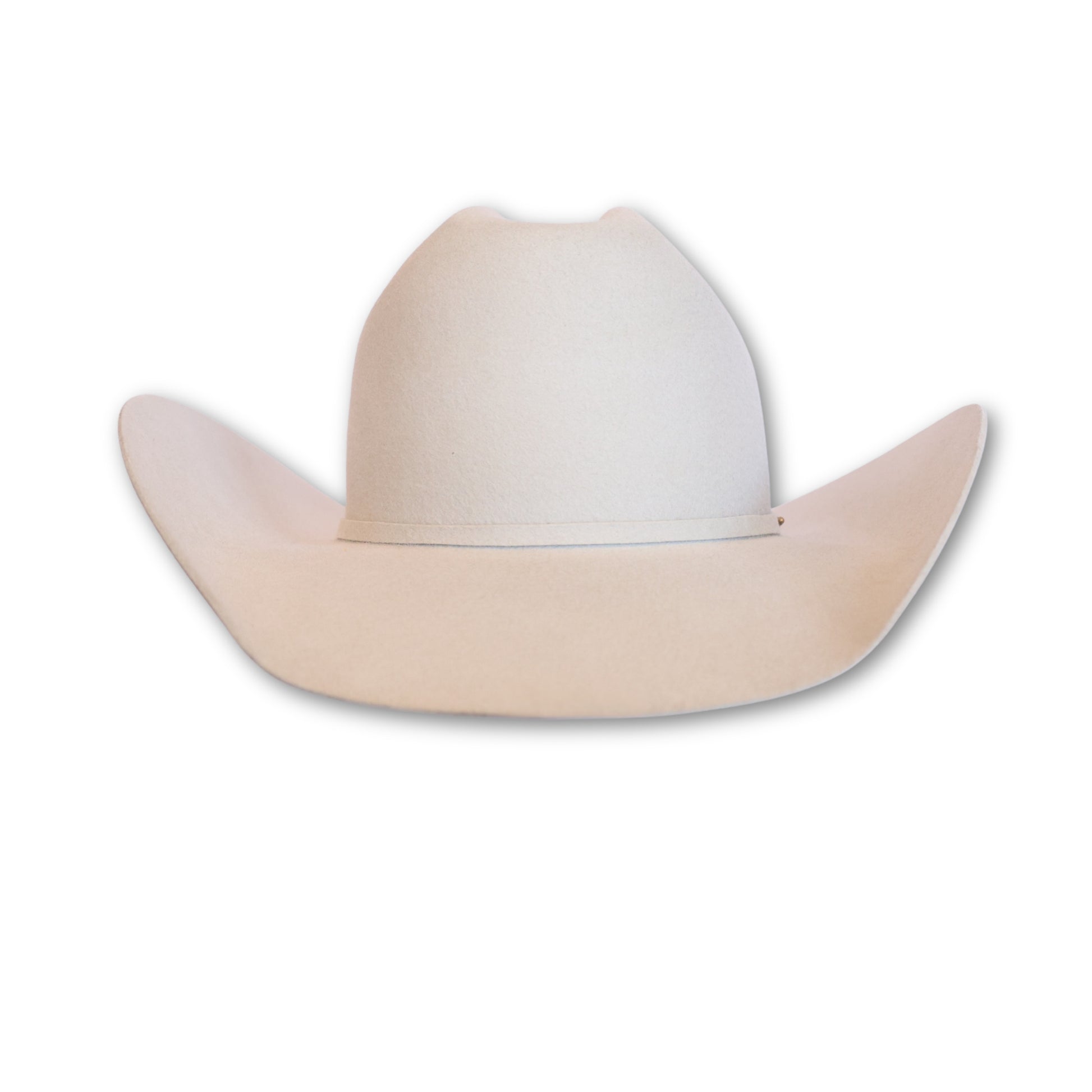 Silverbelly Cowboy Hat | 50X, additional view