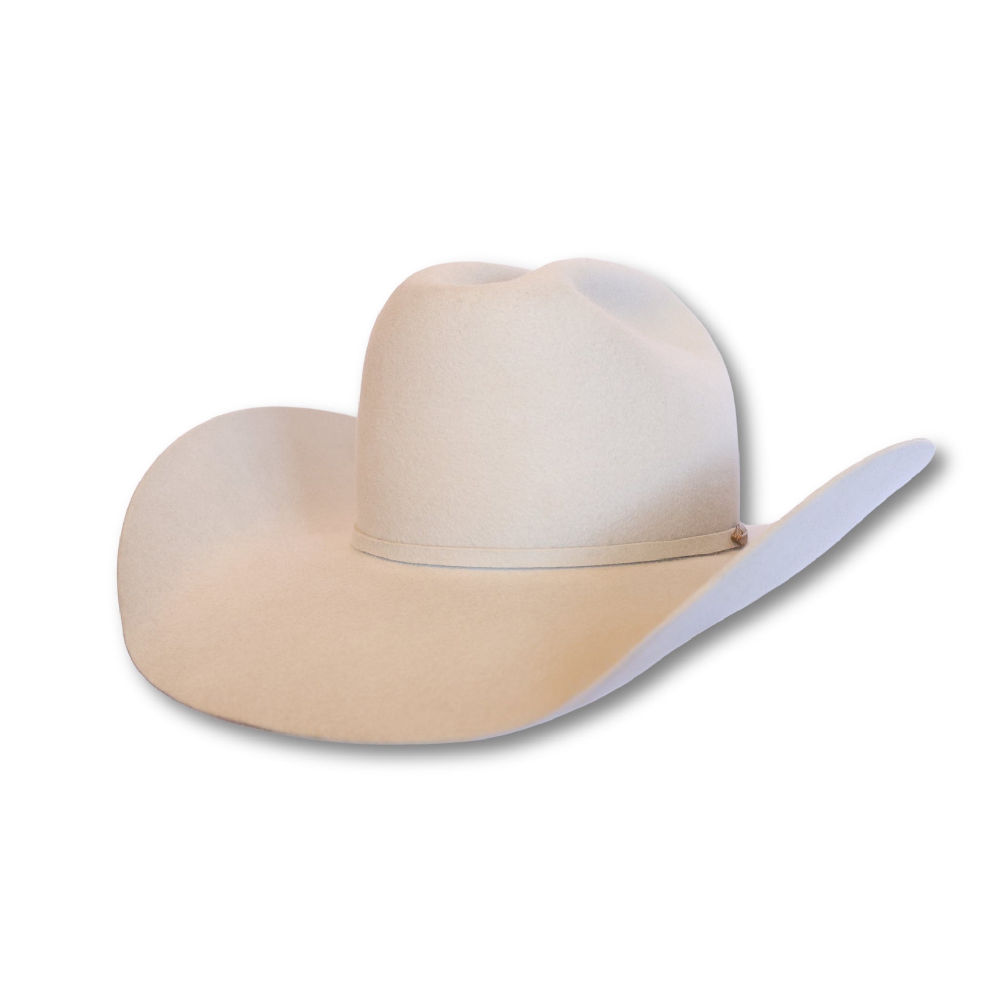 Silverbelly Cowboy Hat | 50X, angle view