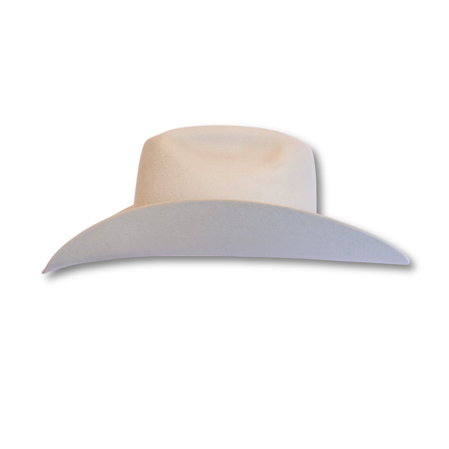 Silverbelly Cowboy Hat | 50X, back view