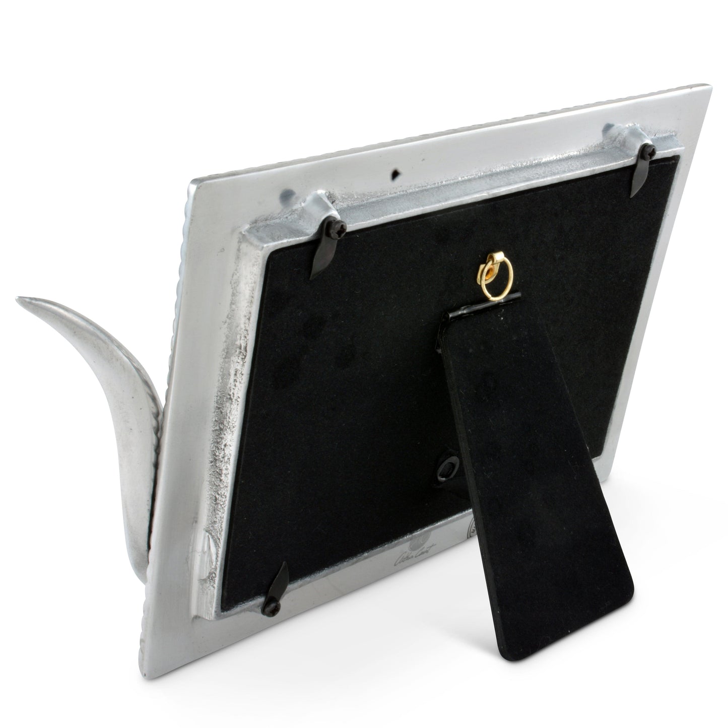 Longhorn Frame, close-up view