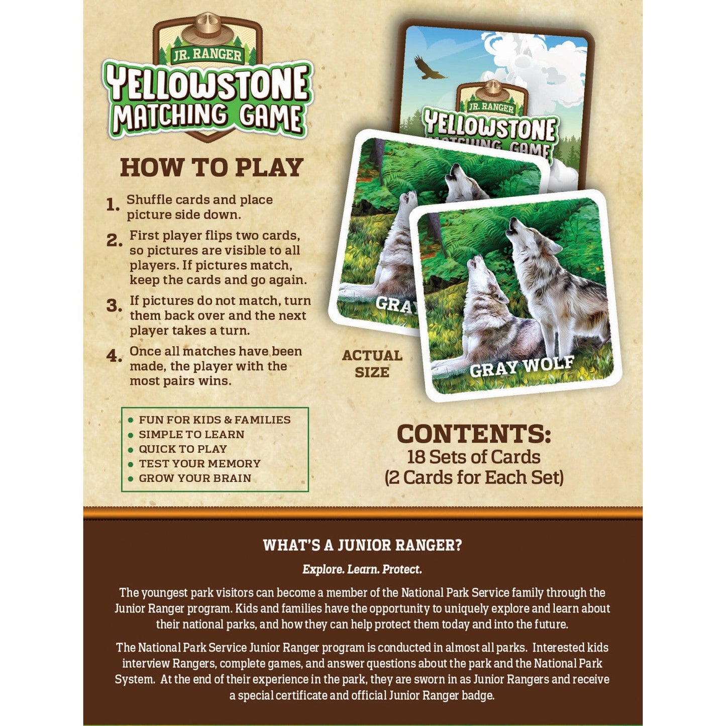 Jr. Ranger - Yellowstone Matching Game, side view