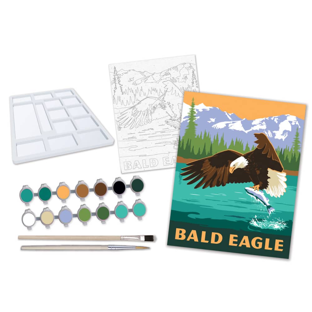 Eagle - Paint by Number, detail view