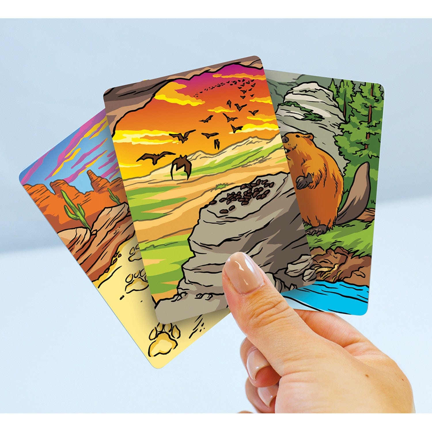 Jr. Ranger Poop Tracks Card Game, lifestyle view