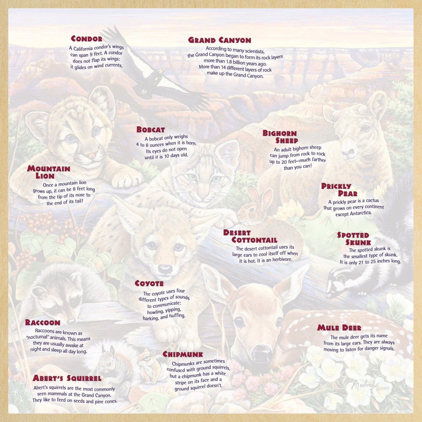 Jr. Ranger - Wildlife of the Grand Canyon 48 Piece Wood Jigsaw Puzzle, alternate view