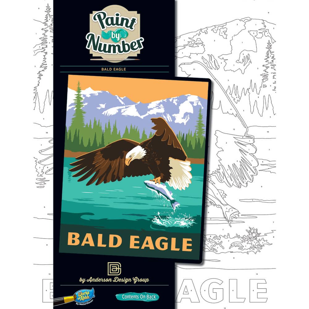 Eagle - Paint by Number, front view