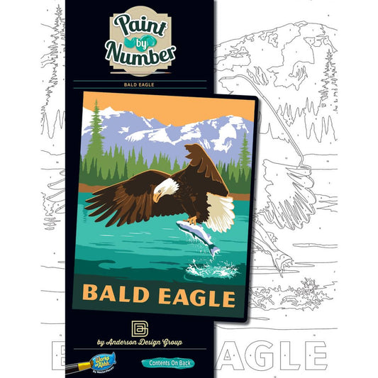 Eagle - Paint by Number, front view