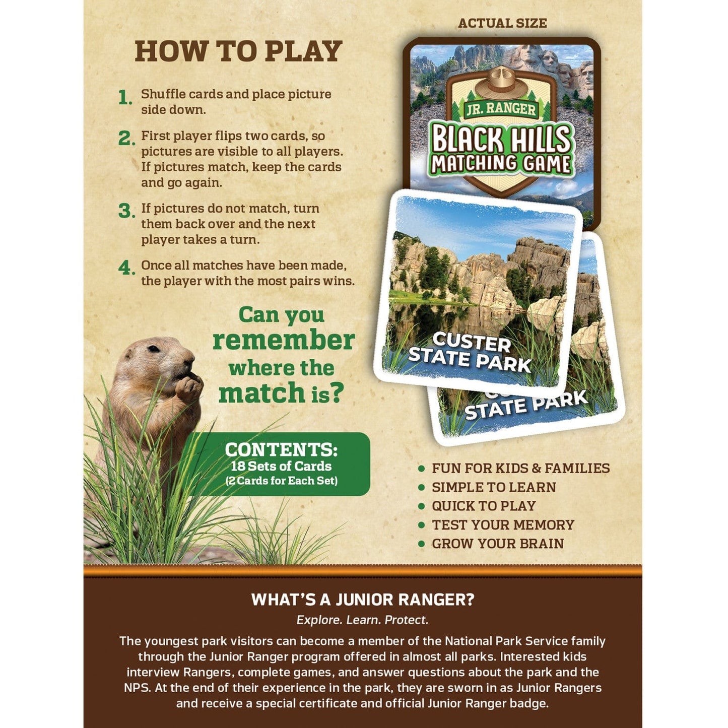 Jr Ranger - Black Hills Matching Game, side view