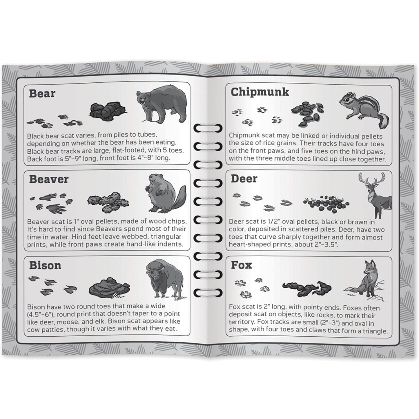 Jr. Ranger Poop Tracks Card Game, alternate view