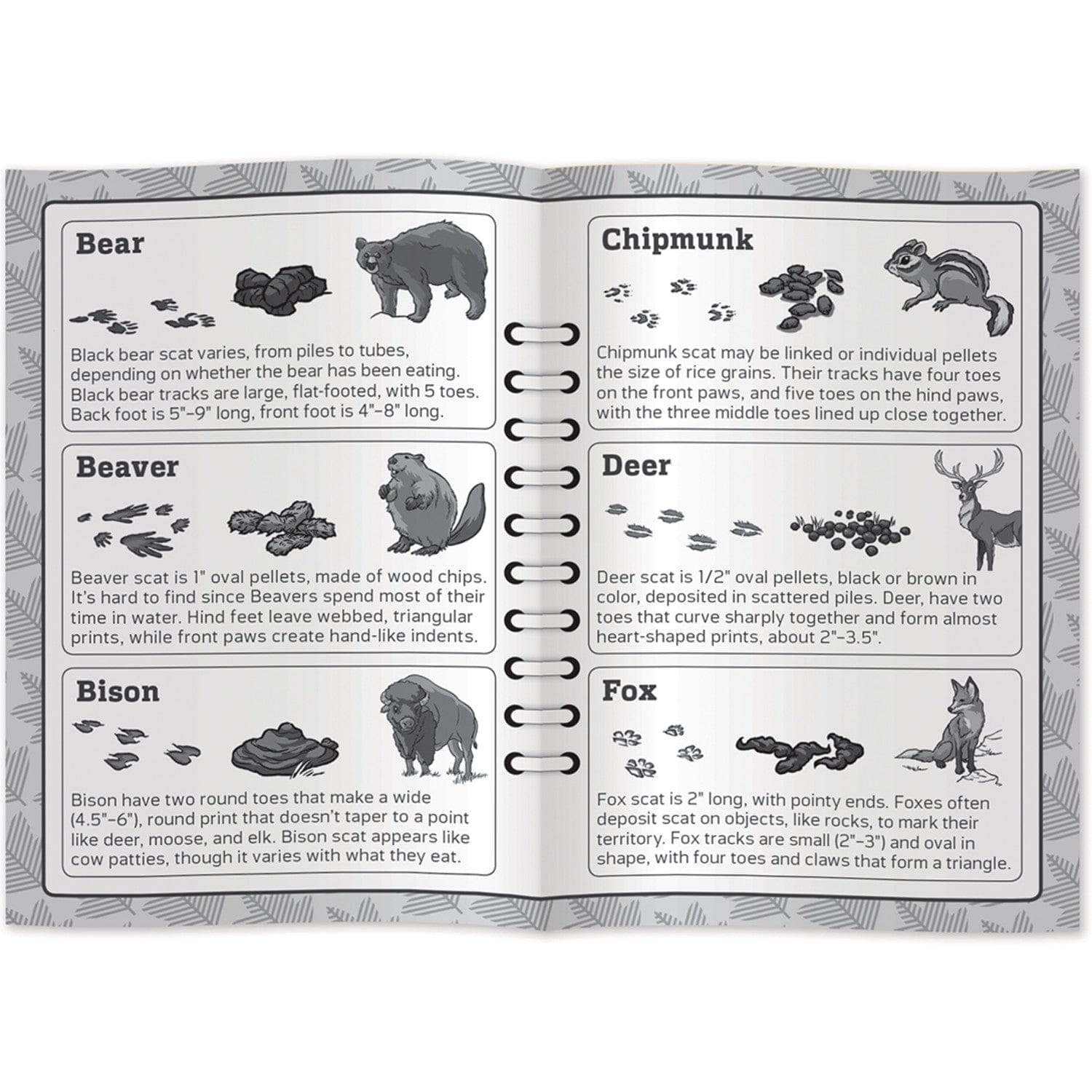 Jr. Ranger Poop Tracks Card Game, alternate view