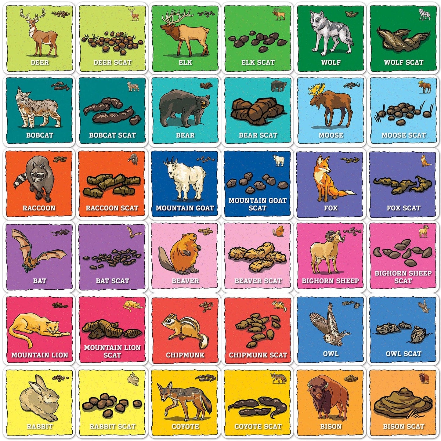 Jr. Ranger - Animal Poop Matching Game, detail view