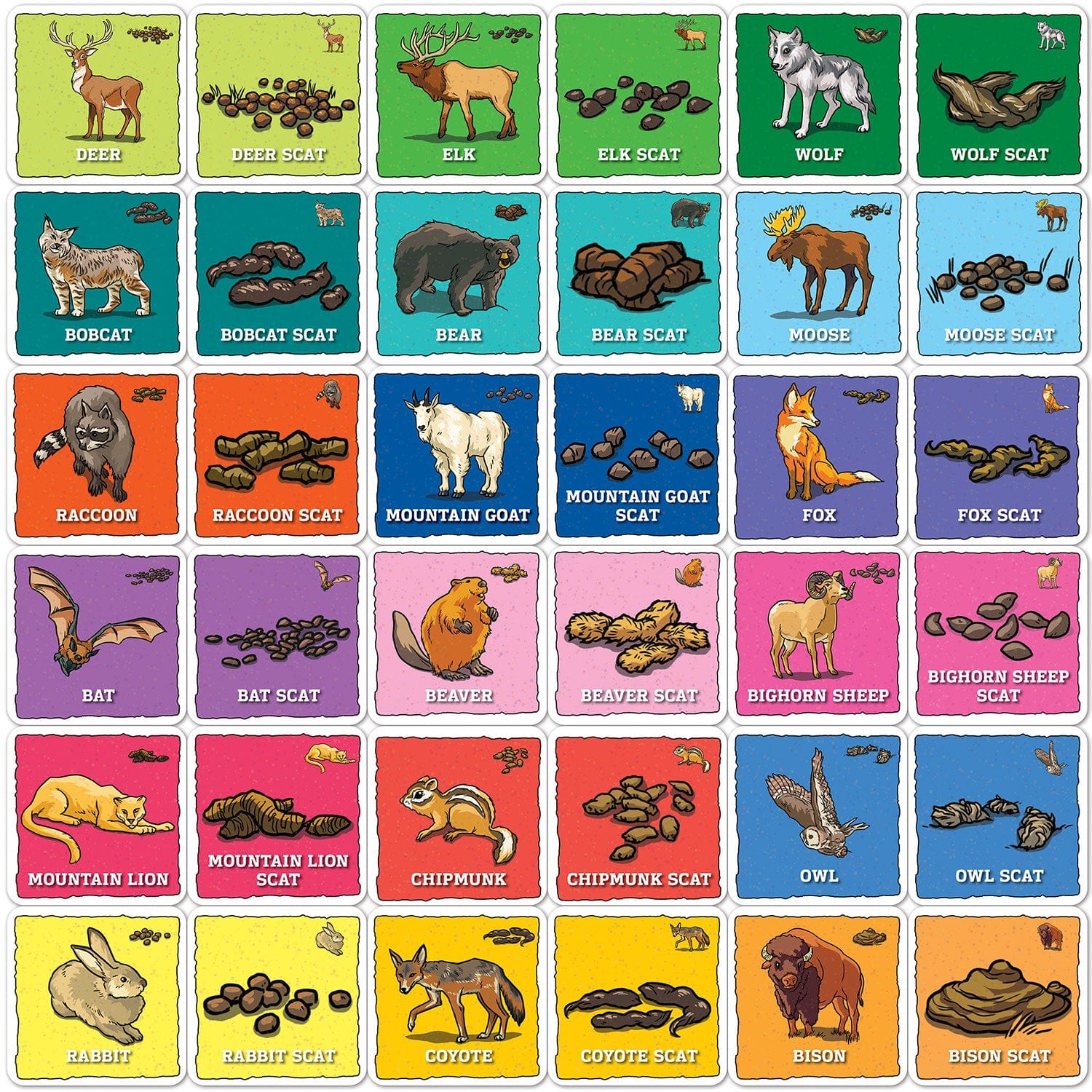Jr. Ranger - Animal Poop Matching Game, detail view