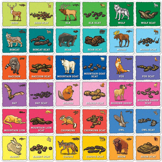 Jr. Ranger - Animal Poop Matching Game, detail view