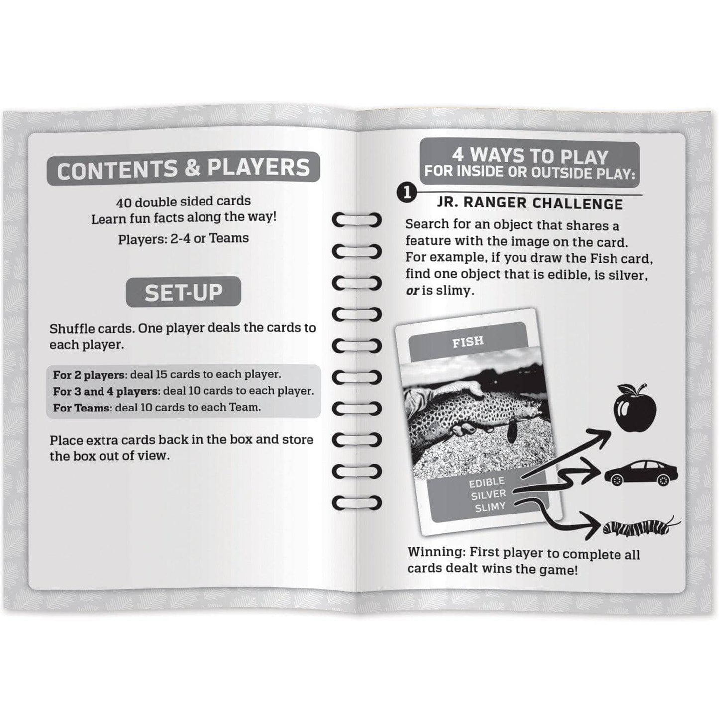 Jr Ranger - Scavenger Hunt Card Game, alternate view
