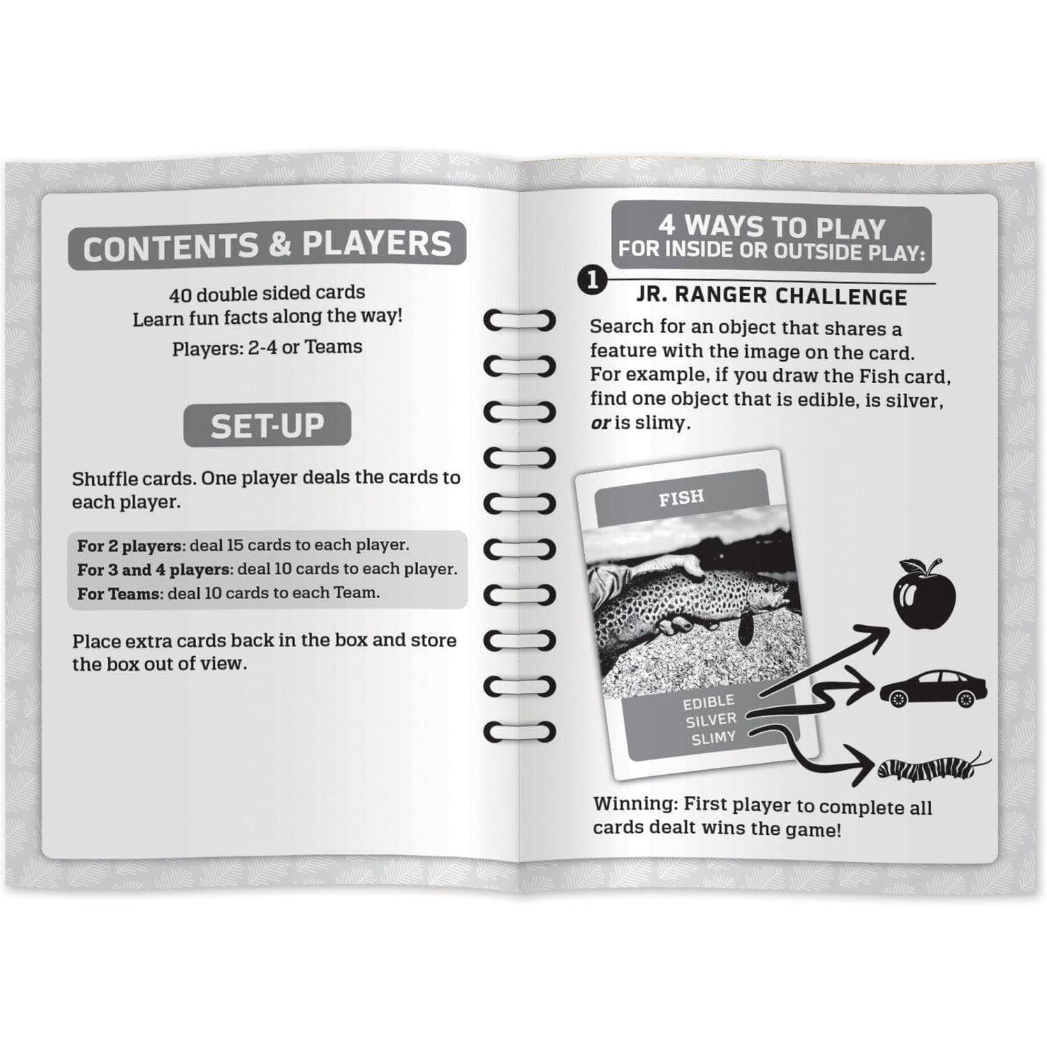Jr Ranger - Scavenger Hunt Card Game, alternate view