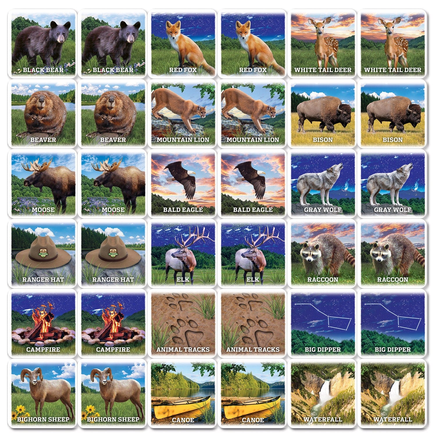 Jr. Ranger Matching Game, detail view