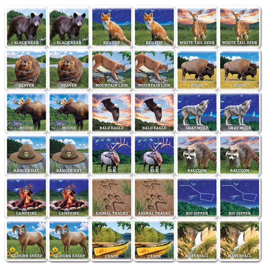 Jr. Ranger Matching Game, detail view
