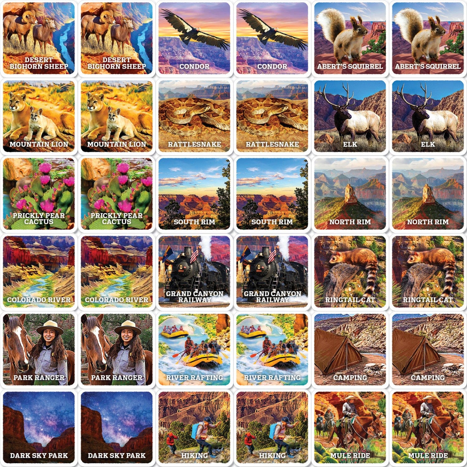 Jr. Ranger - Grand Cayon Matching Game, detail view