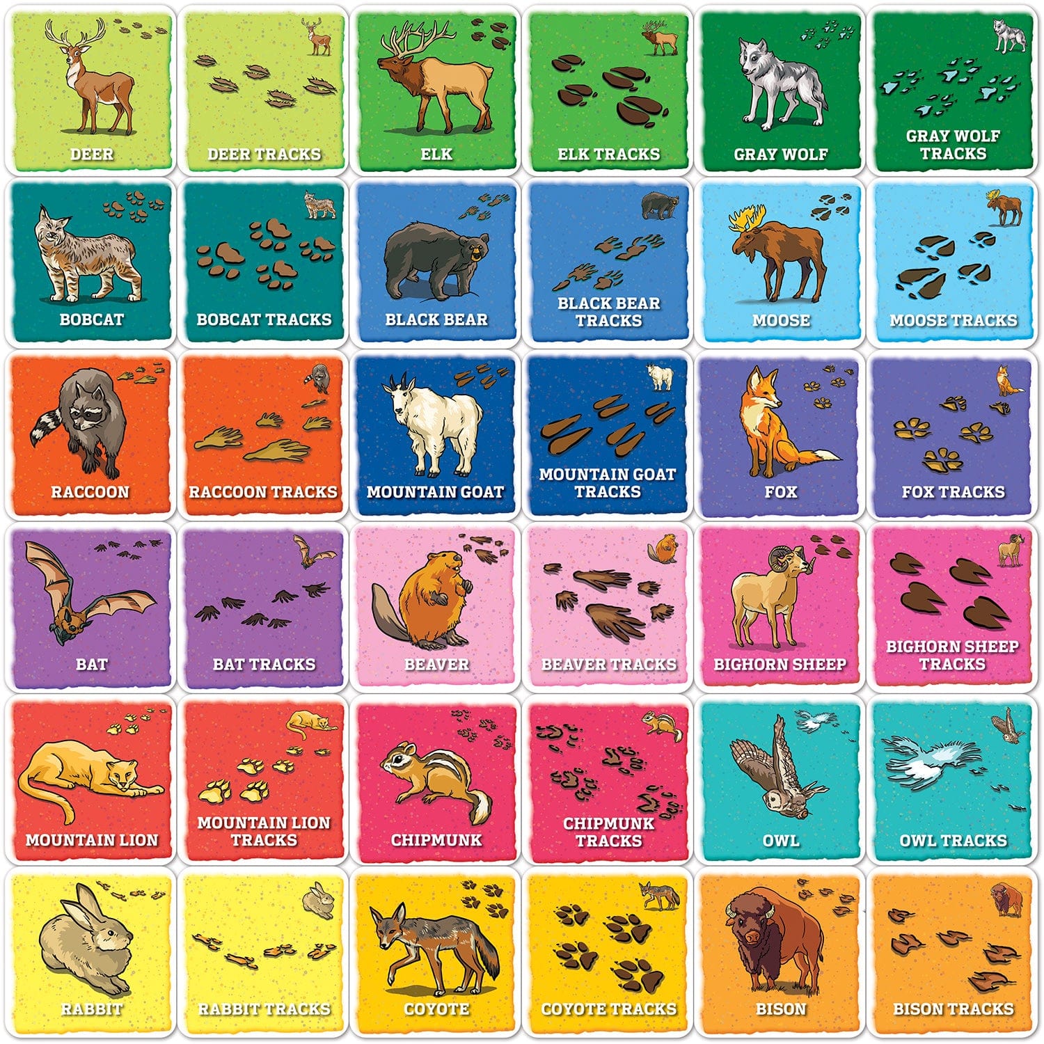 Jr Ranger - Animal Tracks Matching Game, detail view