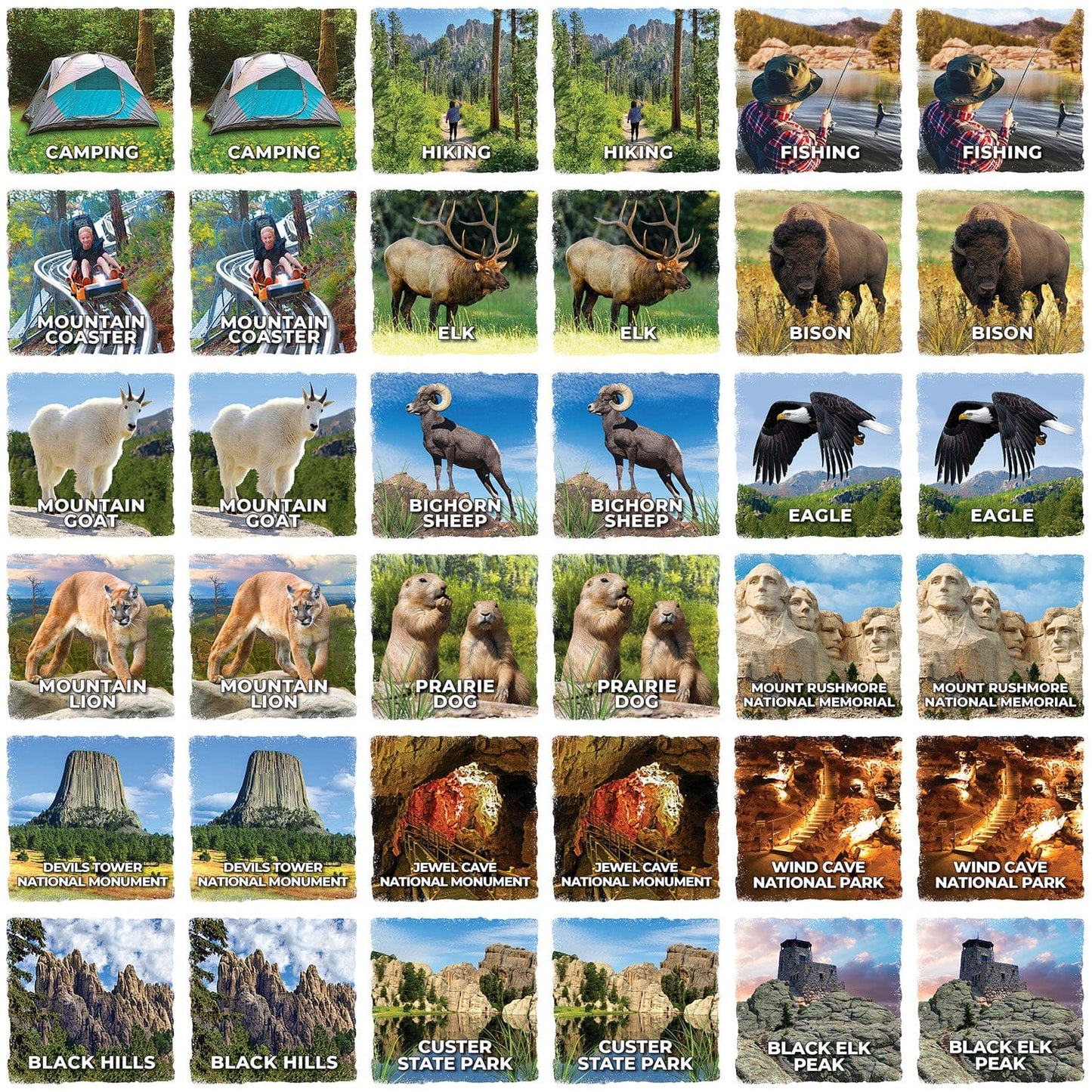 Jr Ranger - Black Hills Matching Game, detail view