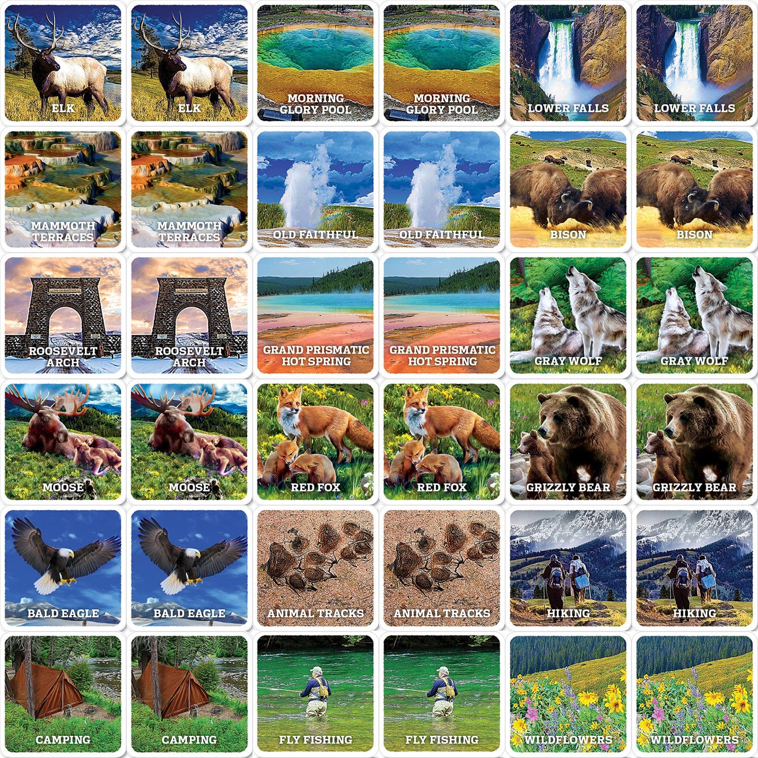 Jr. Ranger - Yellowstone Matching Game, detail view