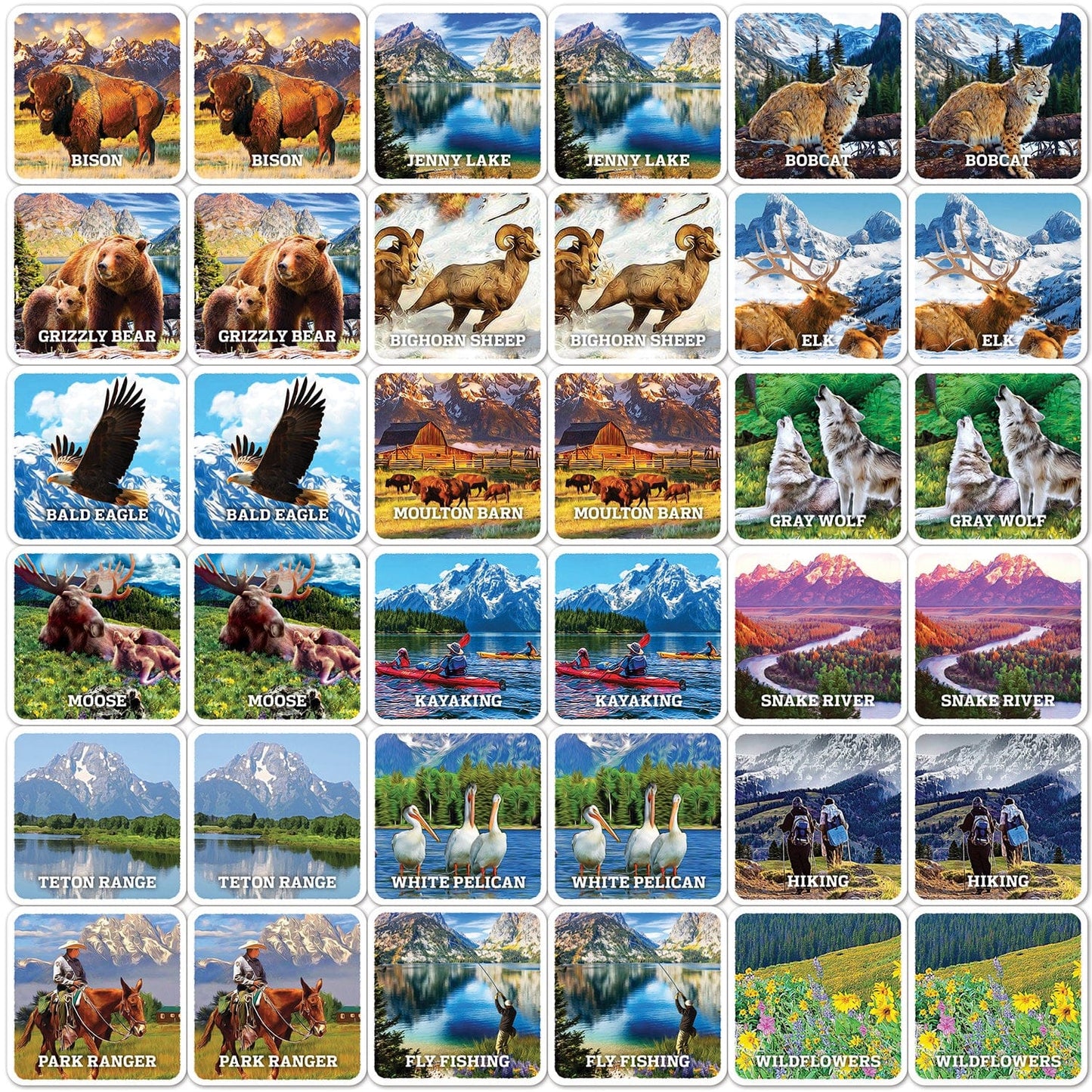 Jr. Ranger - Grand Teton Matching Game, detail view