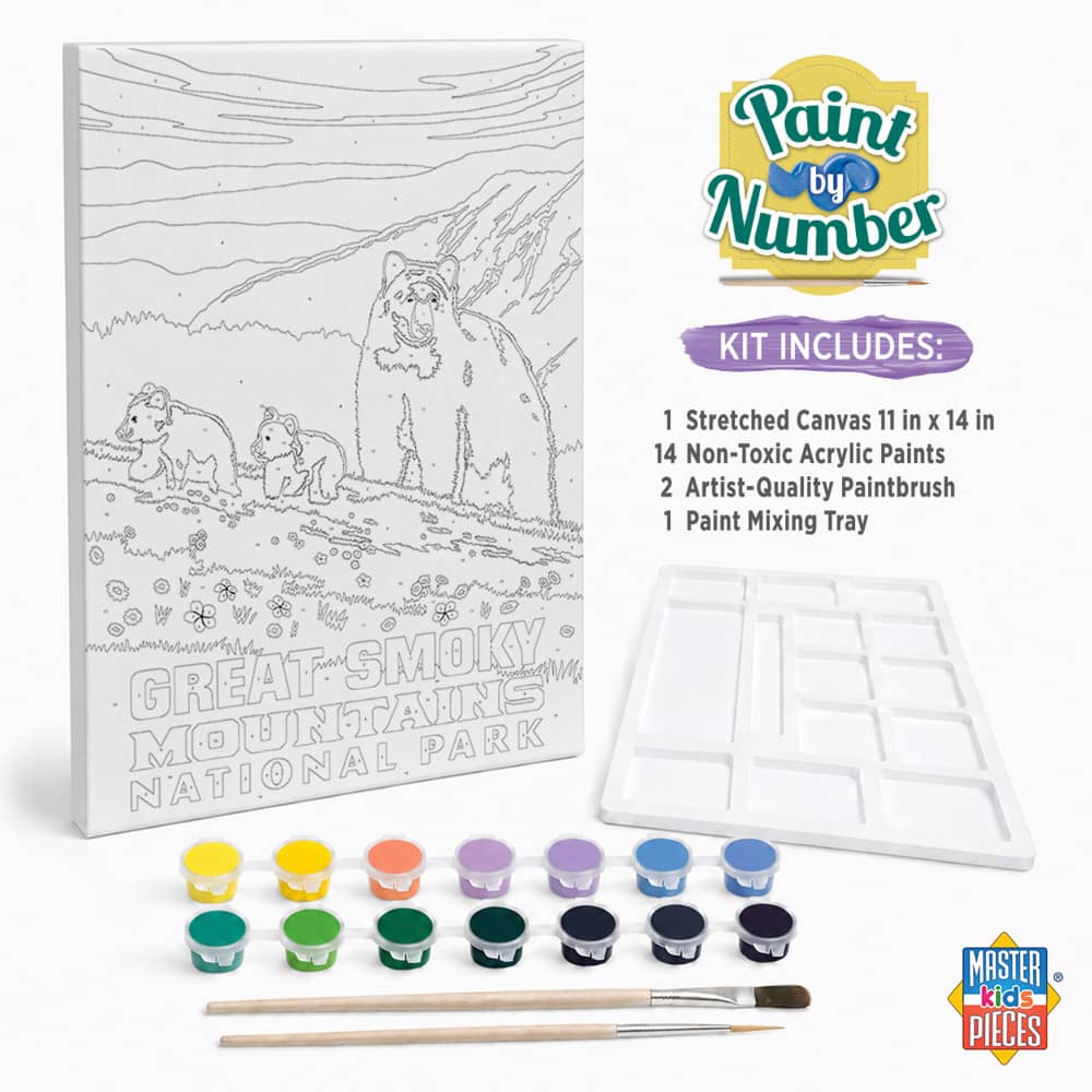 National Parks - Great Smoky Mountains Paint by Number, side view